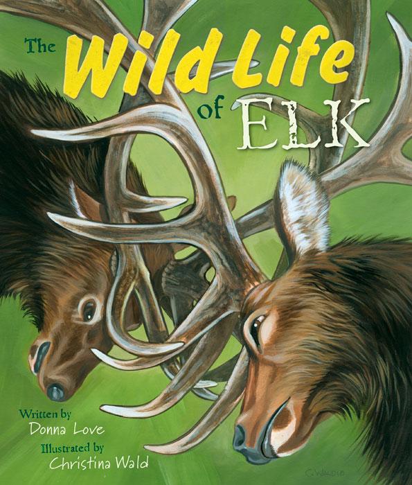 –　Mountain　Wild　Life　Elk　of　Press