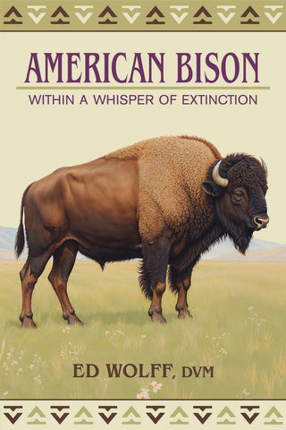 American Bison