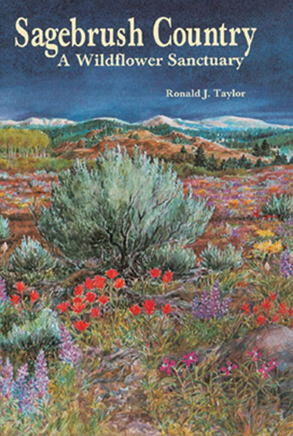 Sagebrush Country