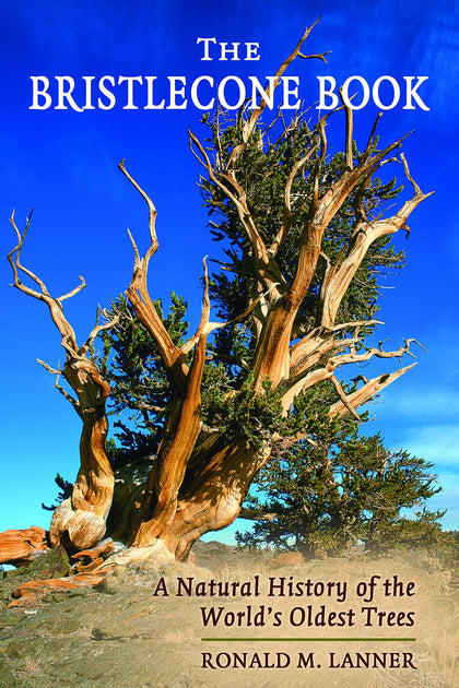 Bristlecone Book