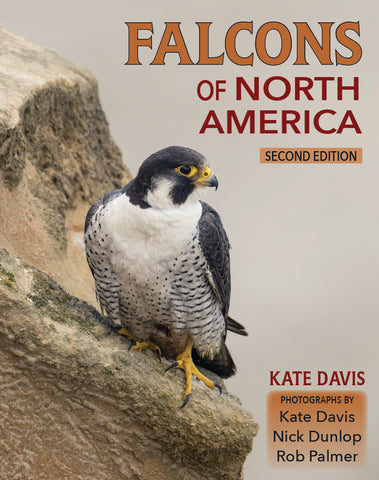 Falcons of North America