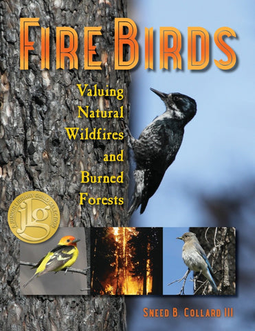 Fire Birds