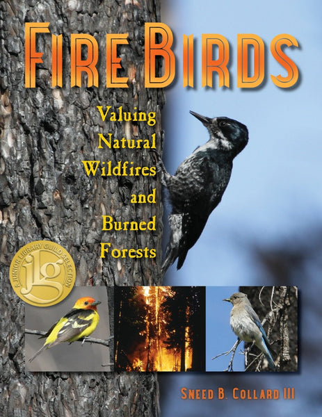 Fire Birds – Mountain Press