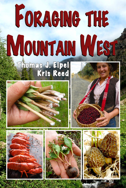 Foraging the Mountain West